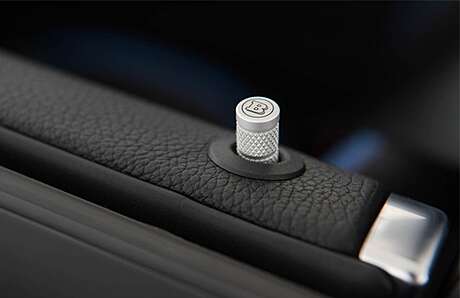 Botones de puerta Brabus 205-819-00 para Mercedes-Benz GLE W166 (original, Alemania)