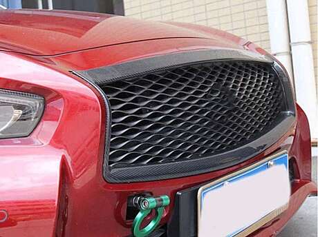 Carbon Front Bumper Grill Frame Infiniti Q50 2014-2017