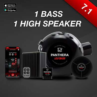 PANTHERA LEO ACTIVE SOUND 1 BASS ALTAVOCES + 1 ALTA ALTAVOZ