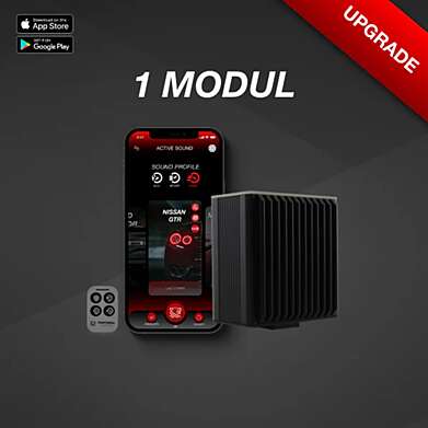 PANTHERA LEO ACTIVE SOUND LA CENTRALITA PRINCIPAL